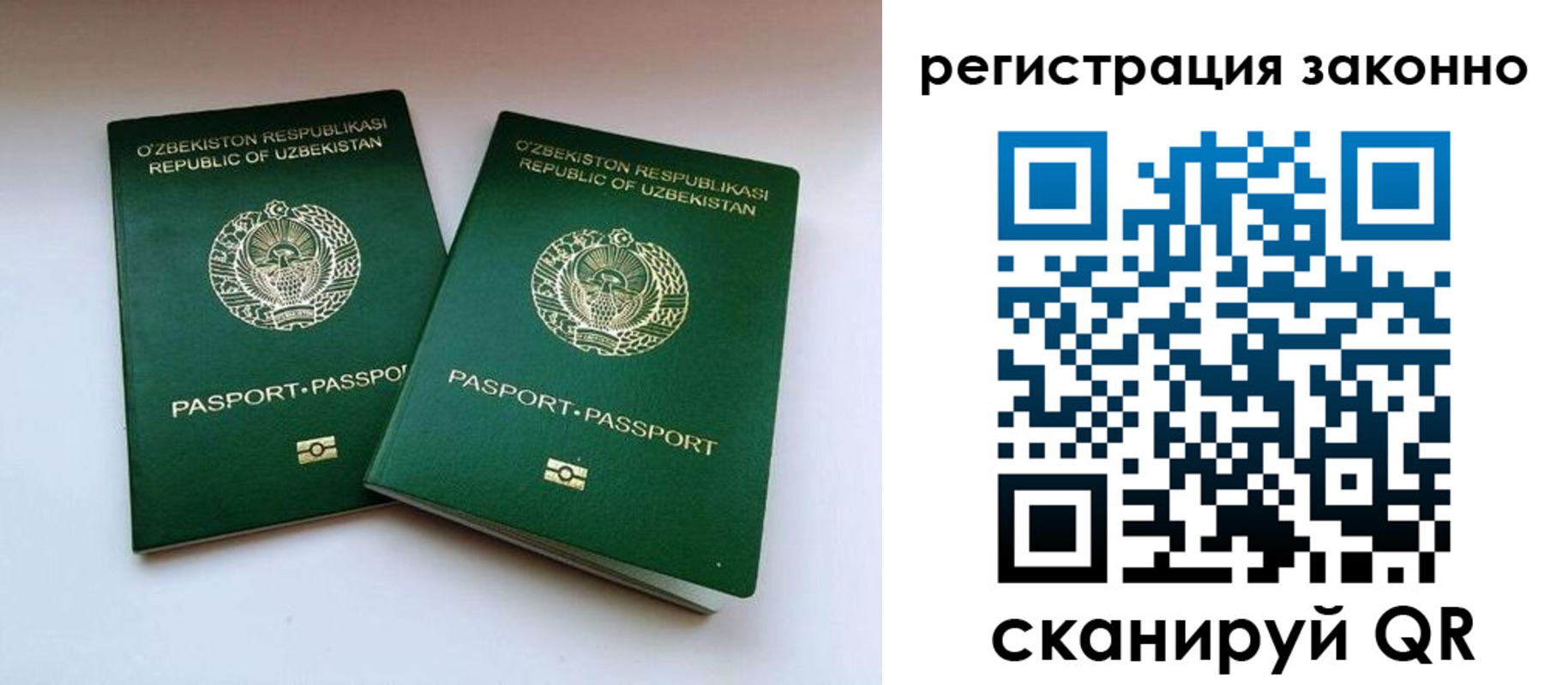 прописка гарантия в Емве
